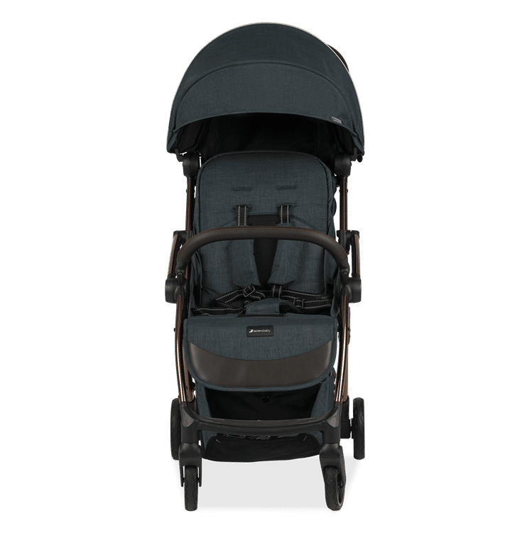 Blue sales air stroller